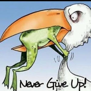 Meet your Posher, Leslie